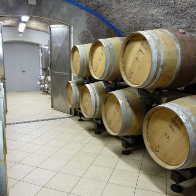 cantina clerico