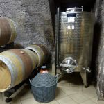 cantina clerico