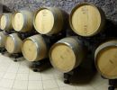 cantina clerico