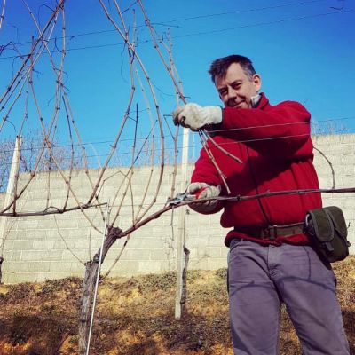 in vigna