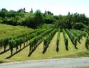 panorama vigna gaja