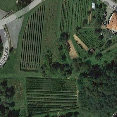 vigna gaja
