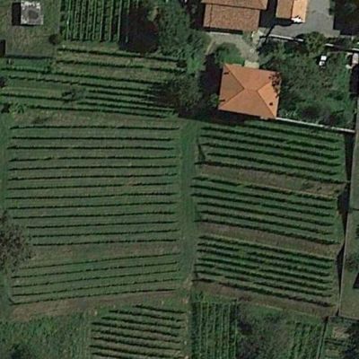 vigna leria